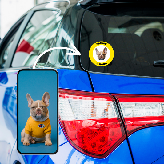 Comment créer le sticker de voiture parfait pour votre chien : Le Guide Complet avec Sticky Memos