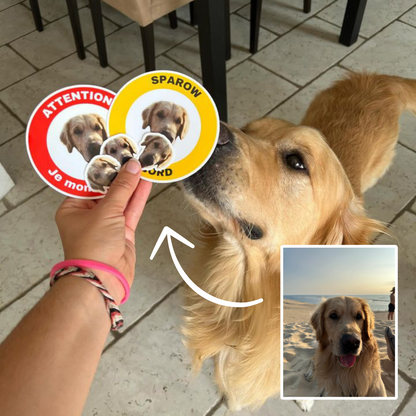 ATTENTION JE MONTE LA GARDE -  Custom Gate Sticker for 'Guard Dog' - FRENCH VERSION