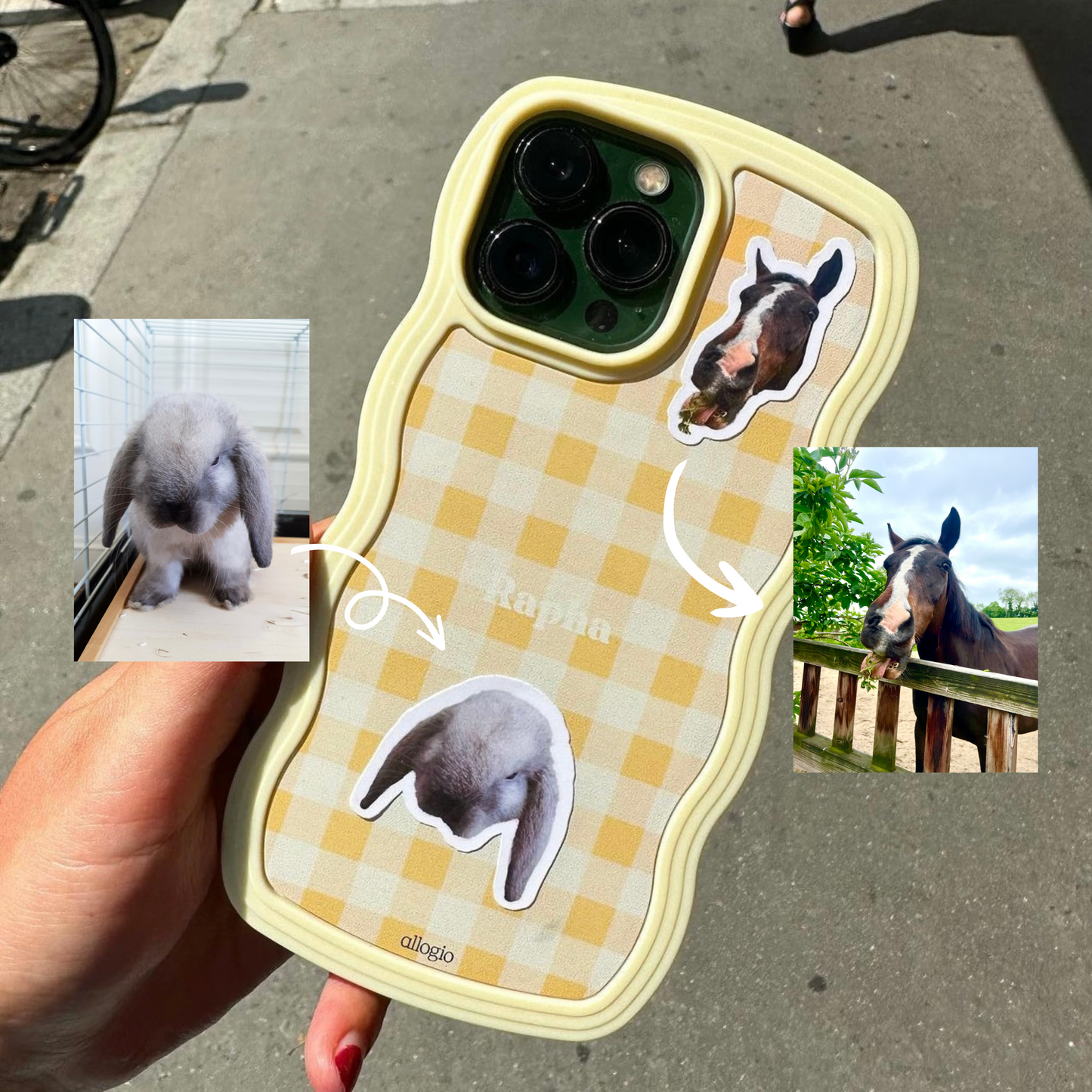 Autocollant Décor Drôle pour Voiture Photo de l'Animal qui Regarde Sticker  Mignon Personnalisé avec Nom Photo Cadeau pour Amoureux des Animaux - CALLIE