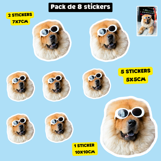 Stickers Animaux personnalisés 🐶🐱